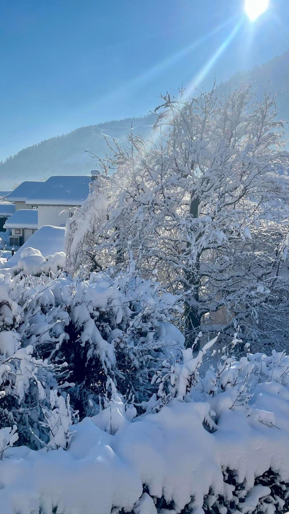 Ferienwohnung Alpseeliebe Immenstadt im Allgäu Extérieur photo